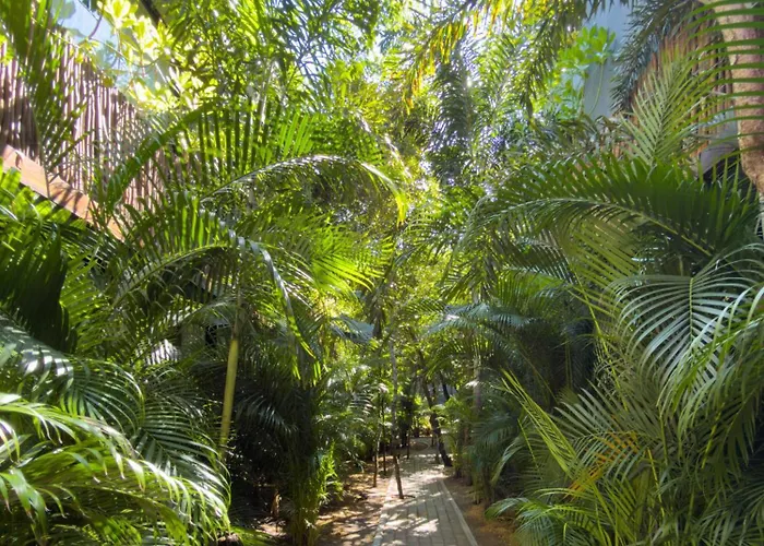 Apartment Near The Exclusive Ph With Private Pool Coast View Humana *